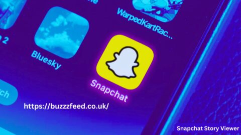 Snapchat Story Viewer